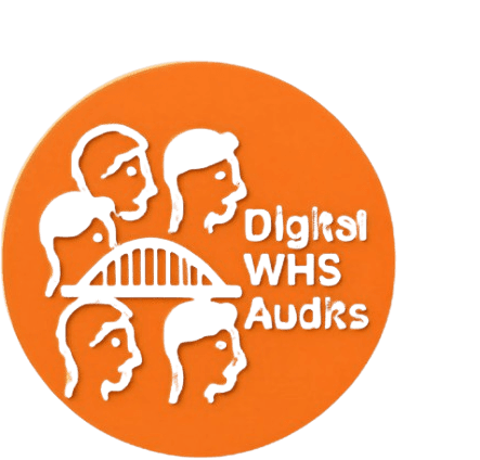 Digital WHS Audits